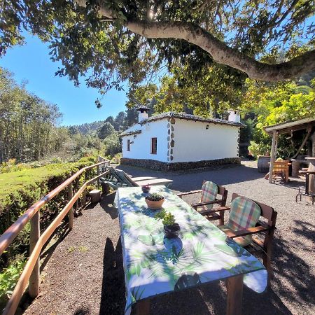 Finca Llano De La Cebolla Ікод-де-лос-Вінос Екстер'єр фото