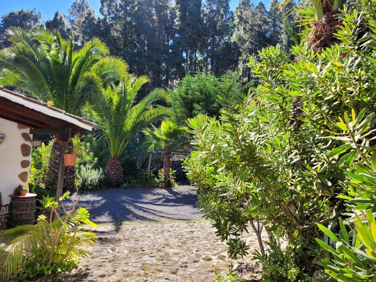 Finca Llano De La Cebolla Ікод-де-лос-Вінос Екстер'єр фото