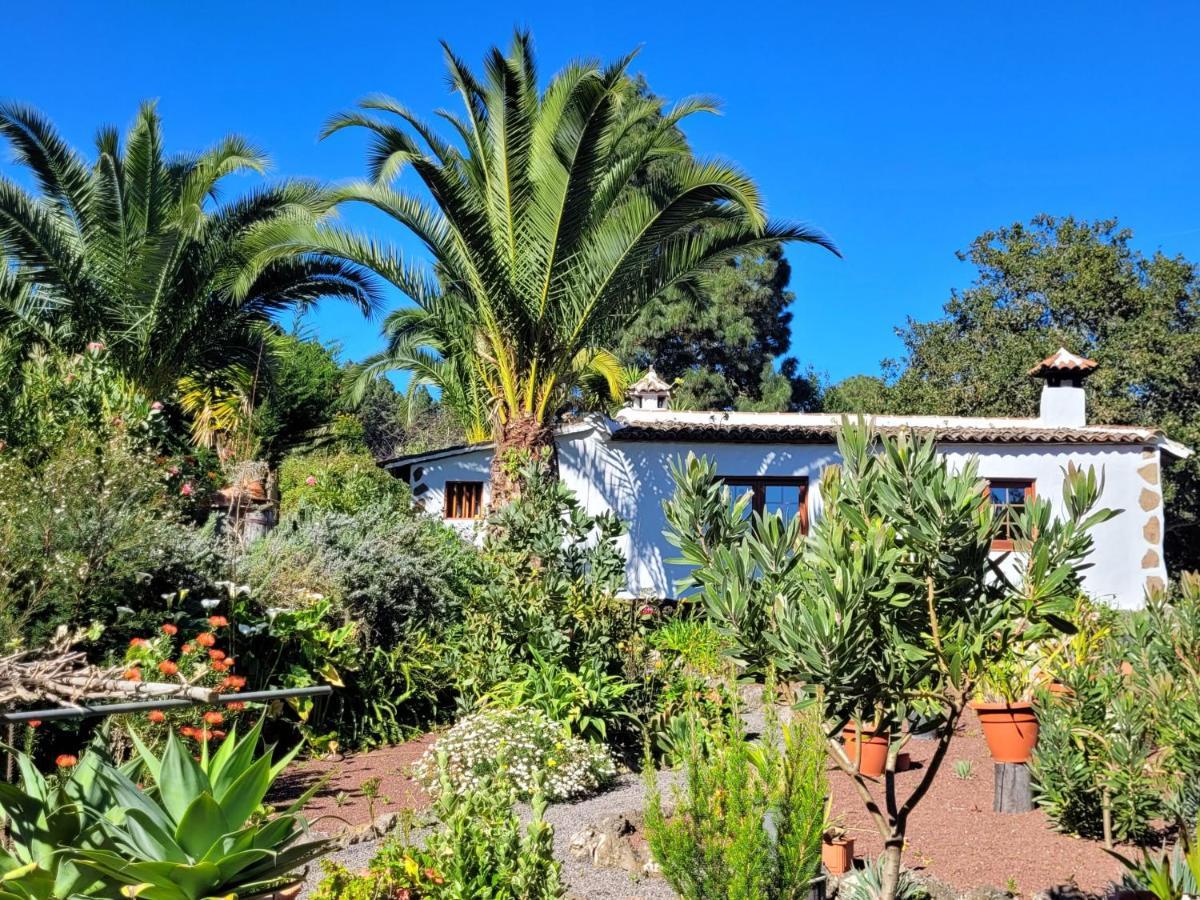 Finca Llano De La Cebolla Ікод-де-лос-Вінос Екстер'єр фото