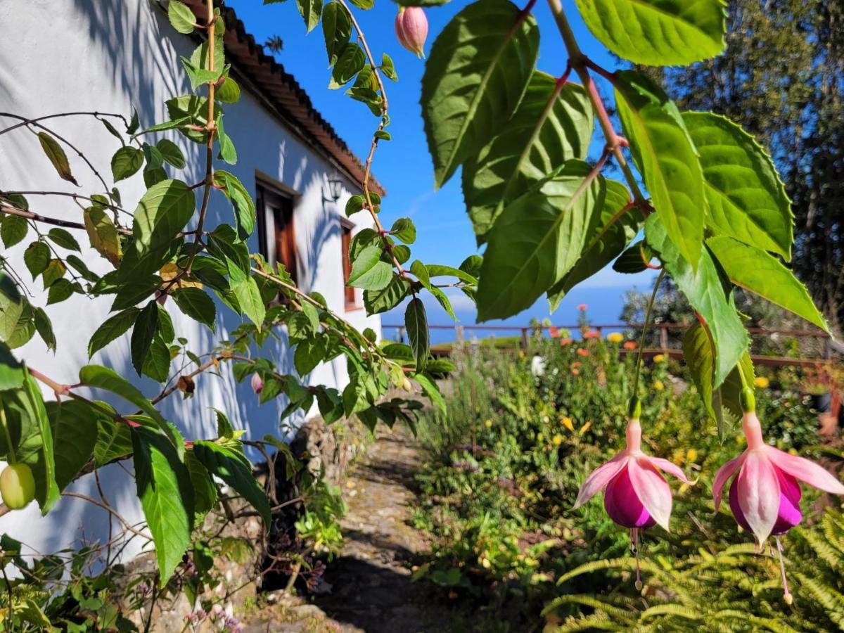 Finca Llano De La Cebolla Ікод-де-лос-Вінос Екстер'єр фото