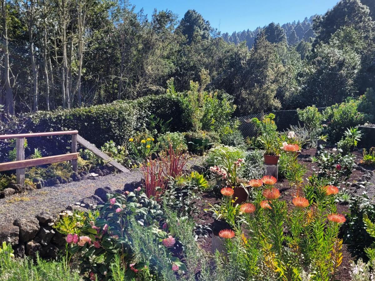 Finca Llano De La Cebolla Ікод-де-лос-Вінос Екстер'єр фото