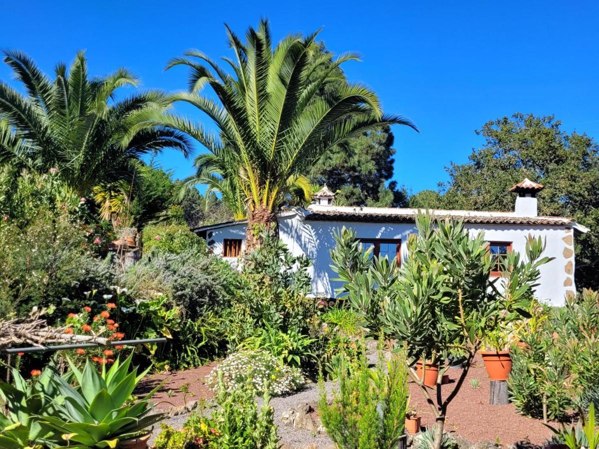 Finca Llano De La Cebolla Ікод-де-лос-Вінос Екстер'єр фото