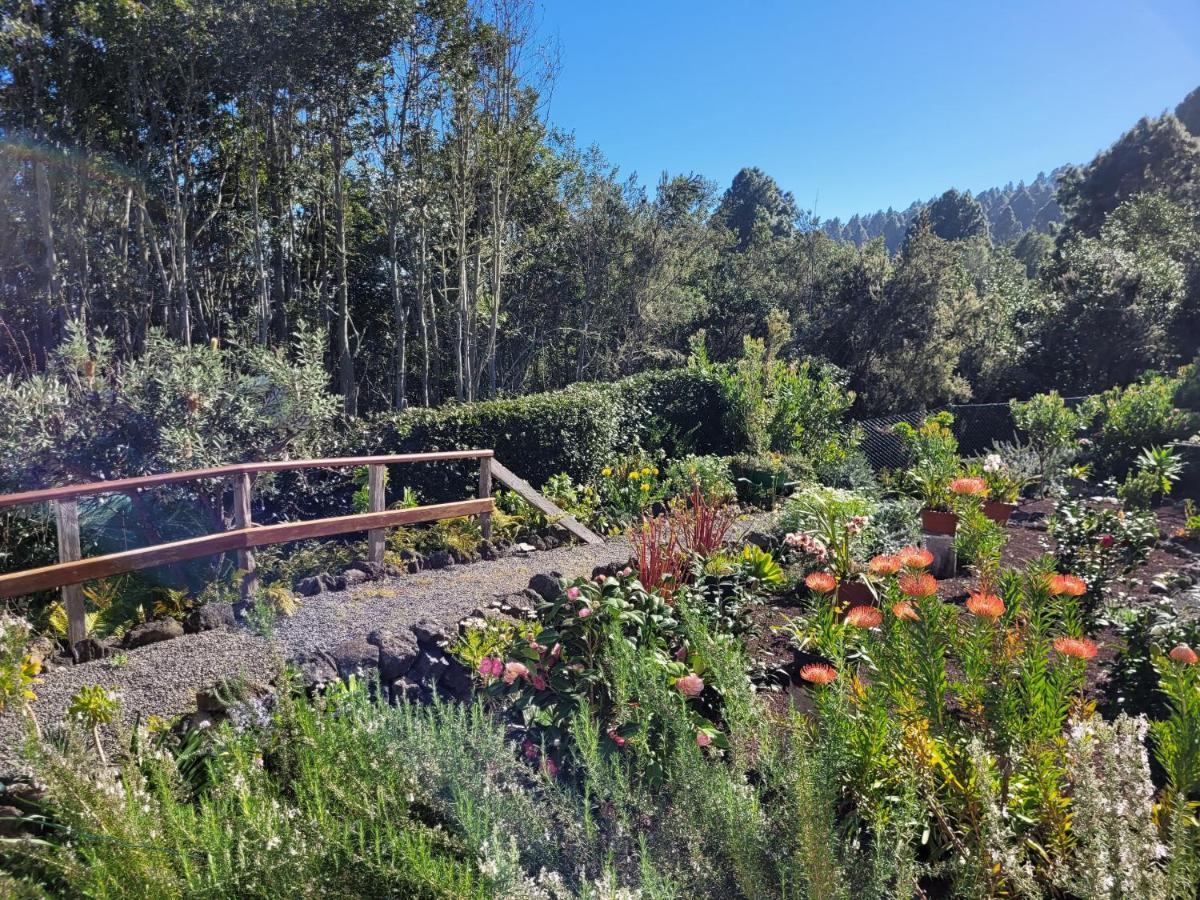 Finca Llano De La Cebolla Ікод-де-лос-Вінос Екстер'єр фото